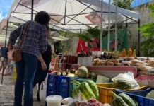 5 feiras agroecológicas para fazer boas compras em Fortaleza