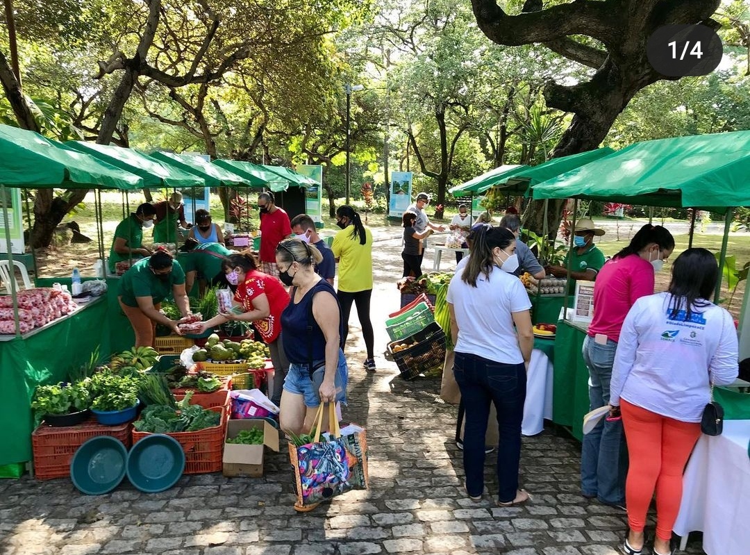 Feira de Alimentação Orgânica