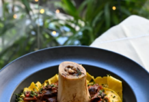 Primeira Fortaleza: confira as últimas novidades do app gastronômico e aproveite com 50% de desconto nas comidas