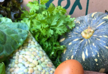 3 cestas de alimentos orgânicos ou agroecológicos para receber em casa, em Fortaleza