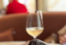 Restaurante Mézzi: Gastronomia mediterrânea e frutos do mar com 50% de desconto; veja como