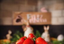 Tokyo Cheesecake lança novos sabores de cheesecake japonês e inicia encomendas para a Páscoa