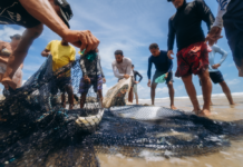 Festival LED 2026: Ceará leva gastronomia social e inovação para solo carioca