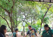 Dia Mundial do Meio Ambiente: feiras agroecológicas para conhecer em Fortaleza
